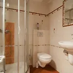 Gwiazda *